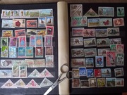 KLASER  AFRYKA  + KOLONIE