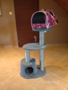 Wieża + domek + drapak dla kota