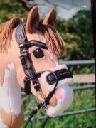 Weterynarz hobby horse