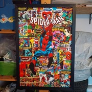 Obraz Spider Man 