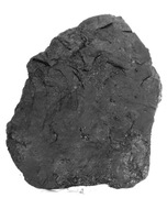 LIGNIT  DO AKWARIUM GL14