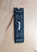 Dysk Kingston Fury Renegade 1TB M2 PCIe 4.0 (Playstation 5)