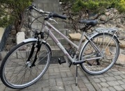 Rower treningowy Damka 28