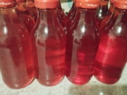 Sok z czerwonej mirabelki 4 sztuki 