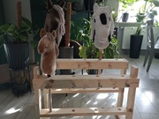 Stajnia stojak hobby horse na 9-10 koników  Alfa
