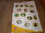 Pedigree Plakat z psami duży 67cm x 48cm ciekawostki o psach 2004