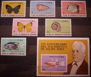 Fauna zwierzęta motyle ryby muszle Kuba Cuba