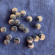 Komplet 20 sztuk koronek do zegarków Vulcain