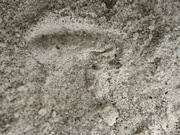 Sprzedam Sól drogową