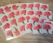 Kartki Okolicznościowe + koperty + celofan - cena za 30 szt