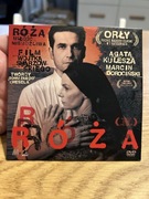 RÓŻA - DOROCIŃSKI KULESZA - ZOBACZ TEŻ INNE