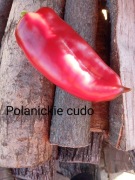 Papryka Polanickie Cudo produkt kolekcjonerski 