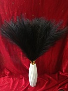 Trawa pampasowa czarna wysokość 55cm 40 szt