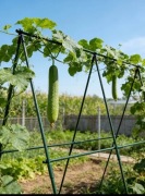 Trwałe Metalowe Paliki do Pnączy Ogrodowych – Podpory dla Pomidorów itp.