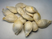 Nasiona dyni - guzowata - Marina di Chioggia