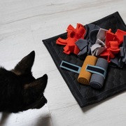 Mata węchowa DEXTER dla psa / kota