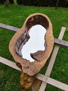 Lustro w pniu drzewa 