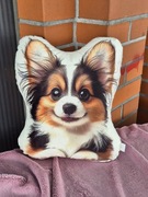 Poduszka maskotka pies papillon 37cm urodziny prezent piesek