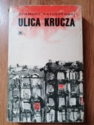 Ulica Krucza - Zygmunt Katuszewski