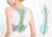 korektor postawy kręgosłupa  XL Anoopsyche