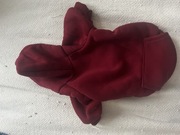 Bluza dla sfinksa devona