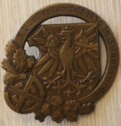 NSDAP 1930 - AUSTRIA, CIEKAWA PRZYPINKA