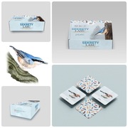 Gra pamięciowa Sekrety Lasu Ptaki 