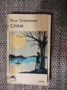 Cham  Eliza Orzeszkowa