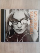 David Gray Sell Sell Sell płyta CD