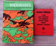 Witkiewicz OJCIEC i SYN: O sztuce (Ossolineum) + O filozofii (PWN) ZESTAW
