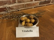 ZIEMNIAK ODPORNY na ZARAZĘ VITABELLA   kolekcja