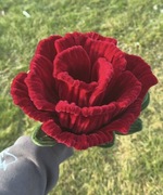 Duża wieczna róża