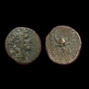 moneta antyczna - Królestwo Seleucydów - uzurpator TRYPHON 142-138r. p.n.e