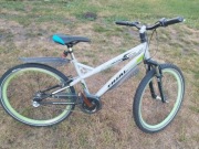 Rower Alpina GT Trail
