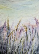 Akwarela "Kłosy" 190x260 mm