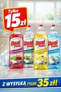 Płyn do naczyń Dual power koncentrat 1L 