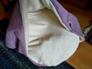 kojec dla whippeta (chart angielski)