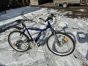 Rower kupiony nie używany Horizon  tel 509122750