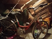 rower delta miss 24 młodzieżowy