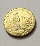 Moneta 2 zł Świstak Marmota marmota 2006