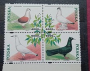 Znaczki polskie Fi 3363 - 66 Gołębie hodowlane stan** z 1994 r. 