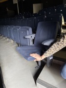 Fotele kinowe teatralne  widowiskowe Megan  profesja. cert.PPOŻ 2026 FVAT