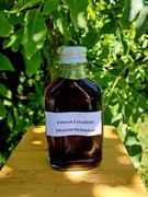 Esencja z zielonego orzecha włoskiego  100ml 