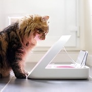 SureFeed Karmidło dla zwierząt - automatyczny podajnik do karmy z CHIP RFID