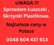 Sprzedam skrzynki drewniane , plastikowe , Łuszczki