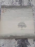 Genesis -WIND AND WUTHERING