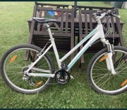 Giant Liv - Ślicznotka 