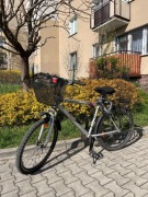 Rower Silver Monster