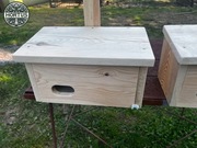 Budki lęgowe dla ptaków jerzyków, naturalnych wrogów komarów