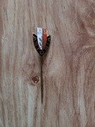 KS Start Astoria Bydgoszcz - wpinka, odznaka